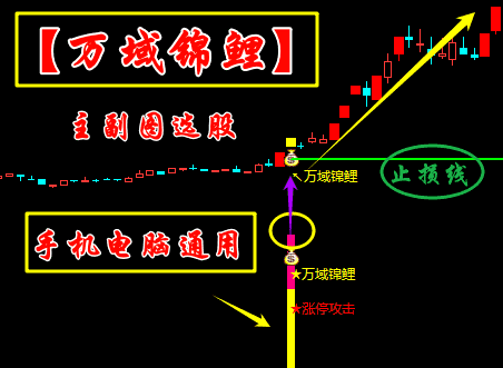 【万域锦鲤】一进二模式主副图/选股指标 趋势超级短线辅助工具解析（手机电脑通用）