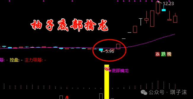精品【柚子底部擒龙】趋势动能追踪监控深度解析
