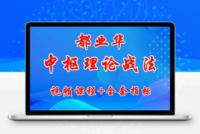 都Y华中枢理论战法 视频课程+全套指标
