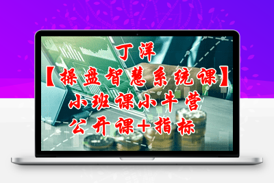 丁洋【操盘智慧-系统课】小班课小牛营公开课+指标