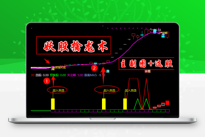 通达信【妖股擒龙术】主副图/选股 K线主副图指标联动战法全解析