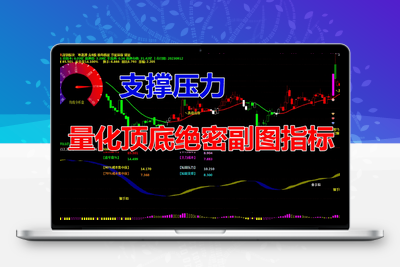 通达信最贵最准的指标,量化顶底绝密副图指标