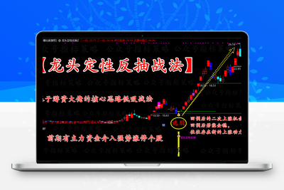 龙头定性反抽基于游资大佬的核心思路低吸战法,前期有主力资金介入强势涨停个股回调后的二次上涨机会，回调后若能企稳，往往存在新的上涨动力，【1主图+2副图+1选股手机电脑通用】